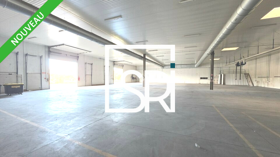 Bien immobilier