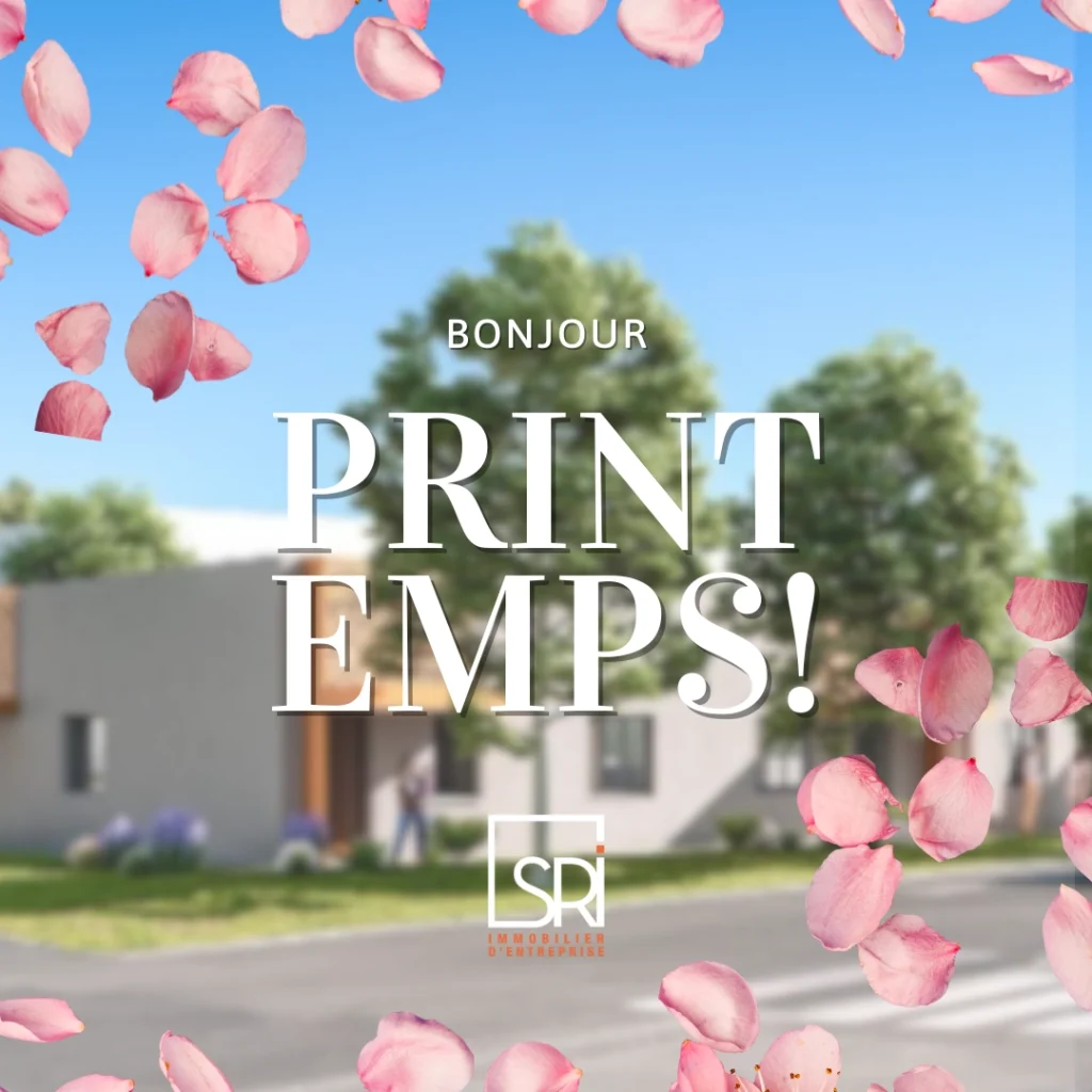 optimisation bureaux entreprise Clermont-Ferrand locaux activité bureaux commerces SR Immo amenagement bureaux immobilier entreprise Auvergne